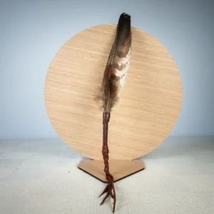 Abanico de pluma simple