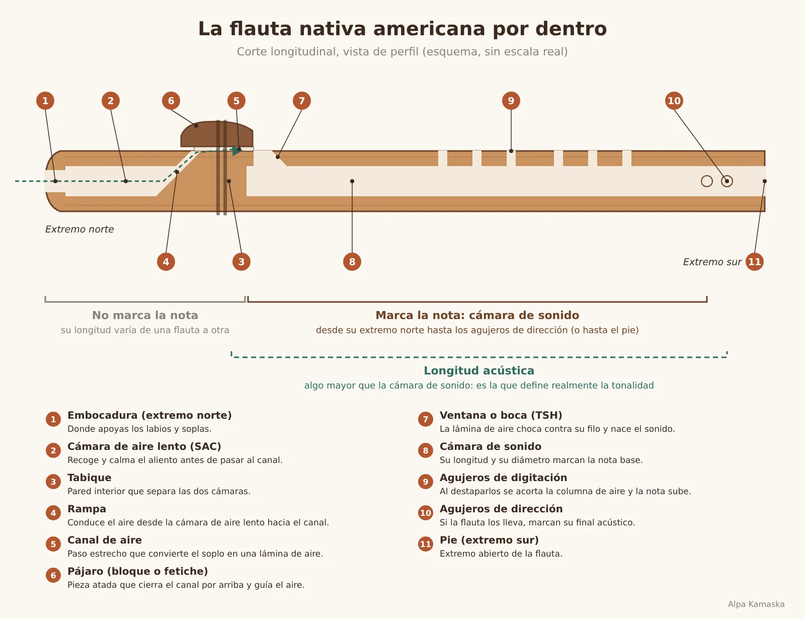 La flauta nativa americana por dentro